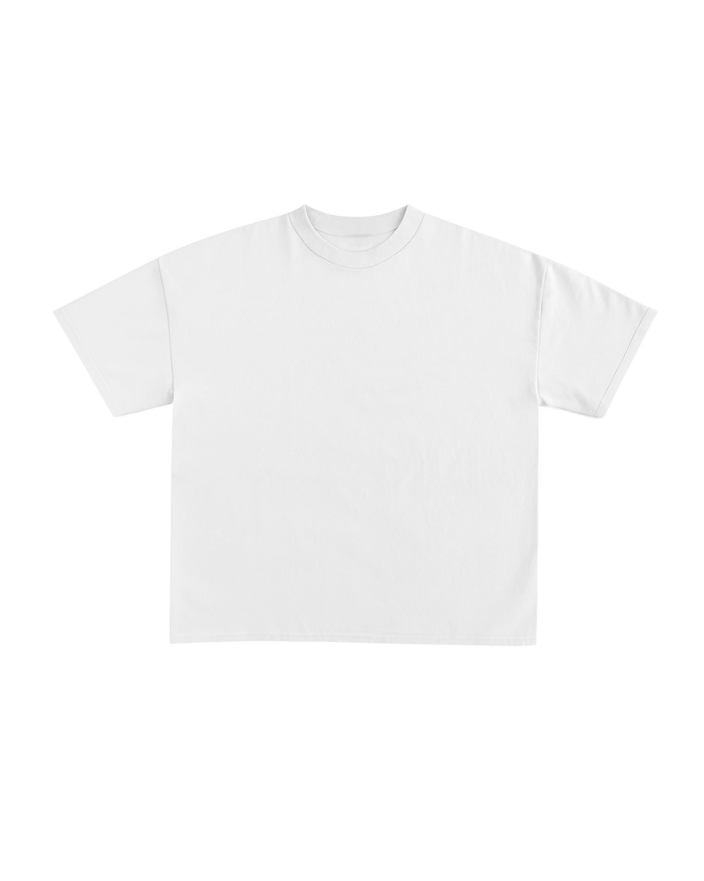 MET Museum OVERSIZED T-SHIRT